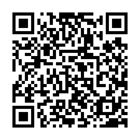 QR code for plate 85D 630
