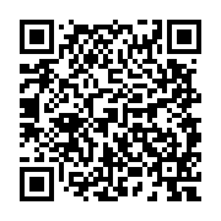QR code for 85F595