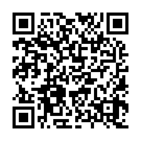 QR code for 85O 938