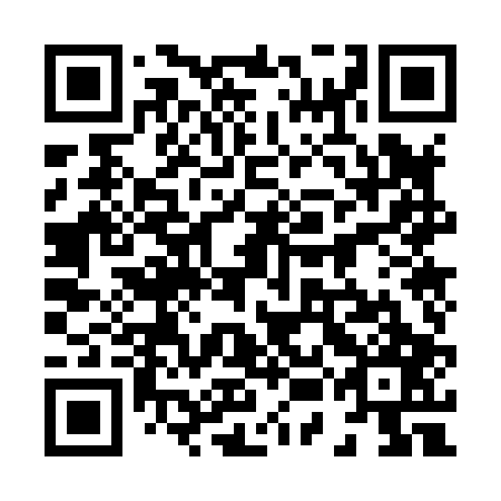 QR code for plate 85O 807