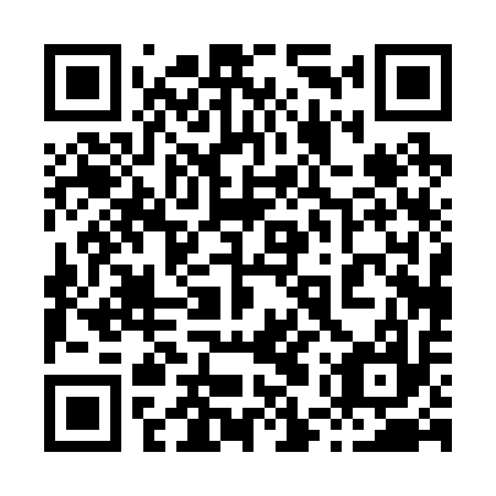QR code for 85P 217