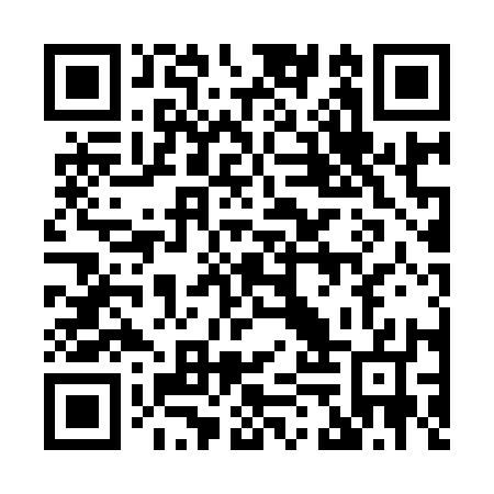 QR code for 85P917
