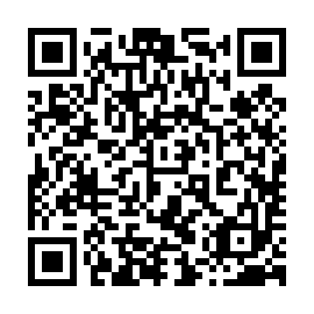 QR code for 85R 493