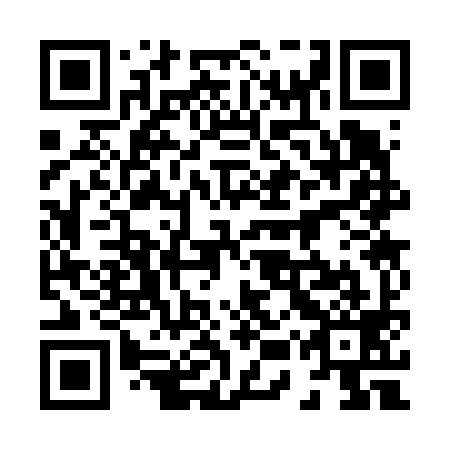 QR code for plate 85S 699
