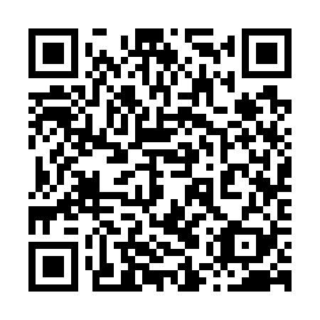 QR code for plate 85S 729