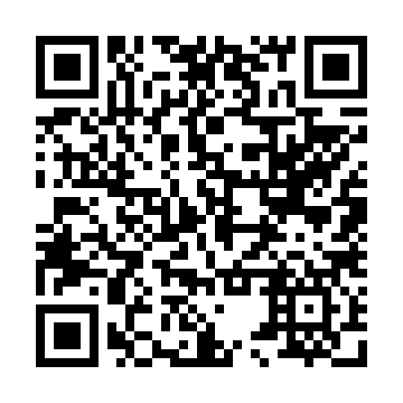 QR code for plate 85W 687