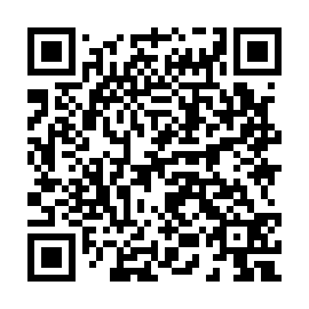 QR code for plate 85Y 132