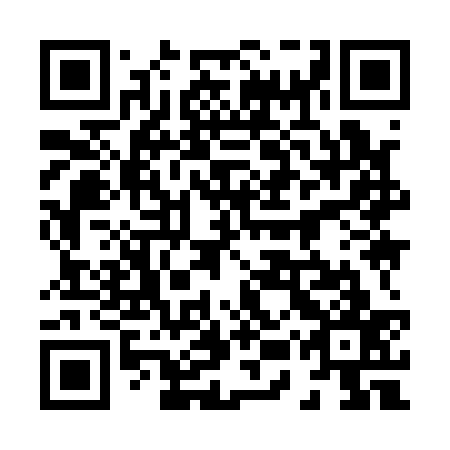 QR code for plate 85Y 137