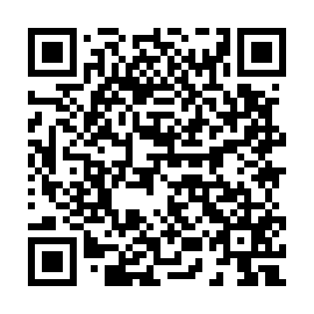 QR code for plate 85Y 555