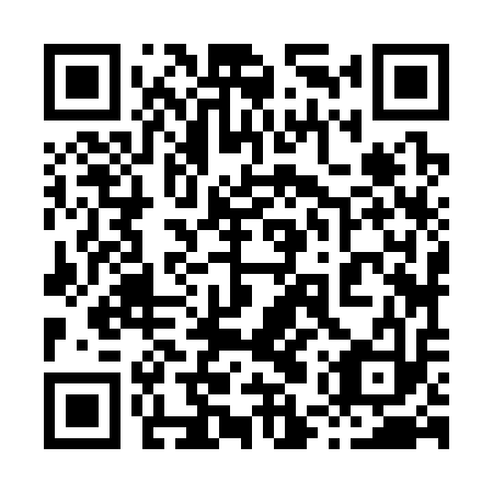 QR code for plate 85Z 313