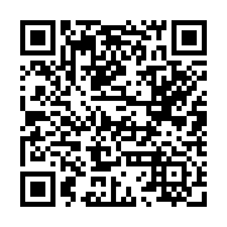 QR code for 86G313