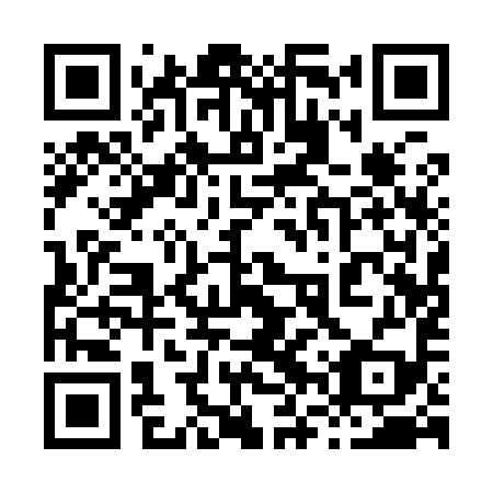 QR code for plate 86Q 999