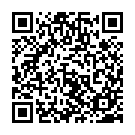 QR code for plate 86U 807
