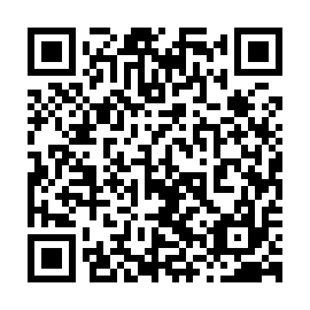 QR code for plate 86U 917