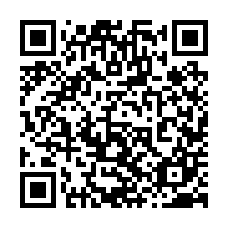 QR code for plate 86V 207