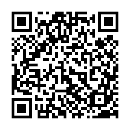 QR code for plate 86V 463