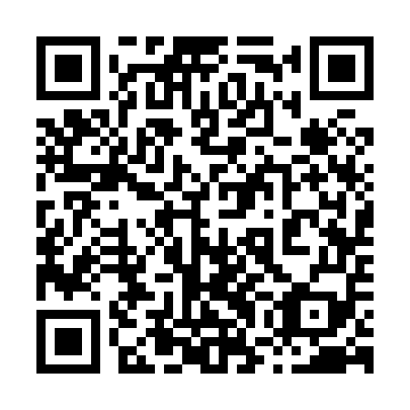 QR code for plate 87C 859
