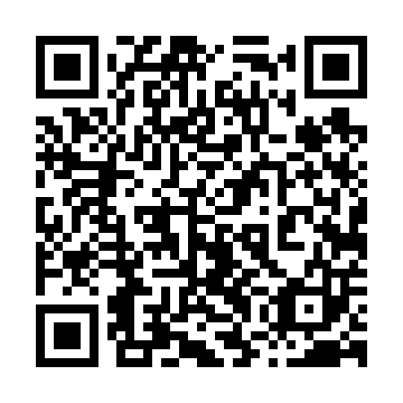 QR code for plate 87D 603