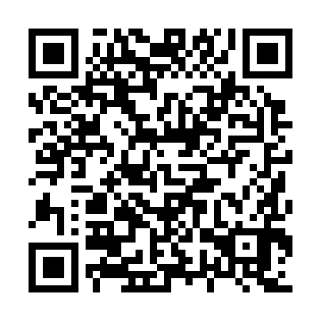 QR code for plate 87P 390