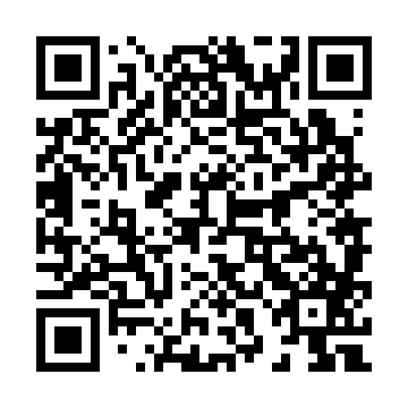 QR code for 88N 387
