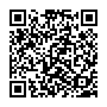 QR code for plate 88N 019