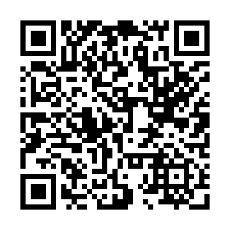 QR code for plate 88T 919