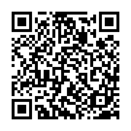 QR code for plate 89H 503