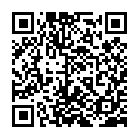 QR code for plate 8AG 490