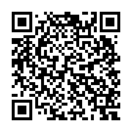 QR code for plate 8HG 601