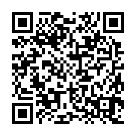 QR code for plate 8HS 380
