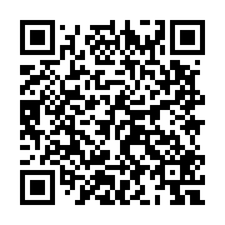 QR code for 8I 9509