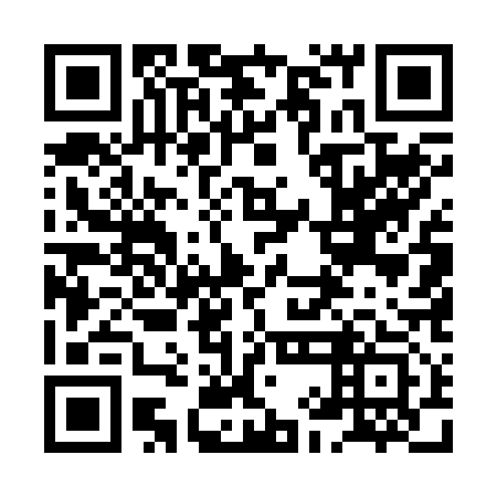 QR code for plate 8IE 213