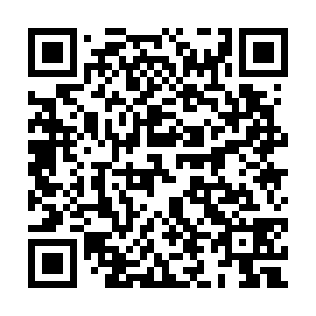 QR code for plate 8L 1738