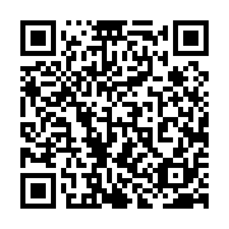 QR code for plate 8L 4110