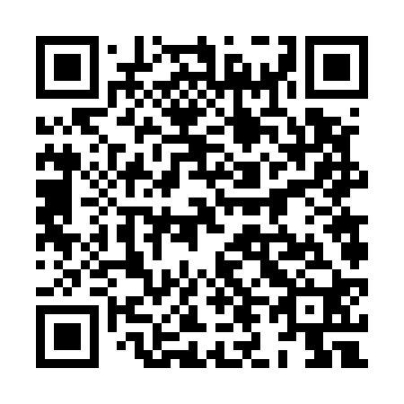 QR code for plate 8L 6520