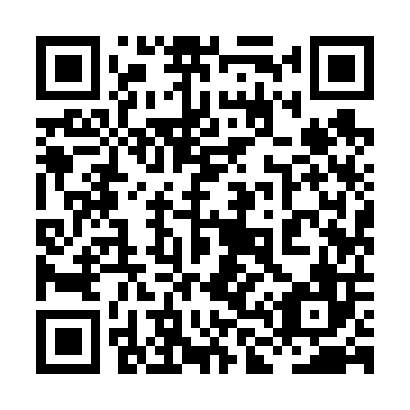 QR code for plate 8L 9606