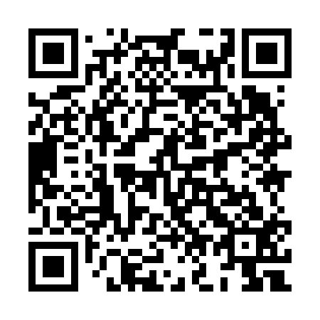 QR code for plate 8O 9613