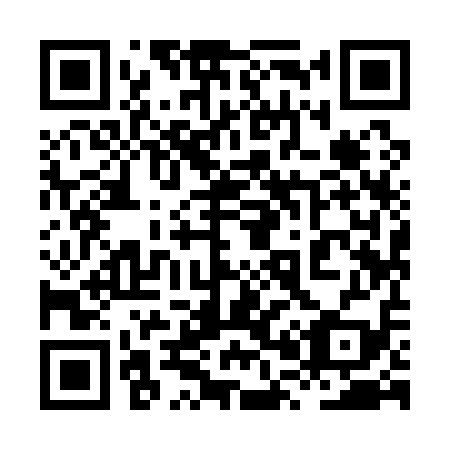 QR code for 8P 9119