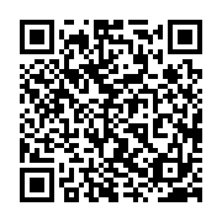 QR code for plate 8PP 333