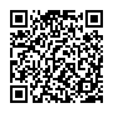 QR code for plate 8QZ 290