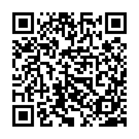 QR code for 8T 6560