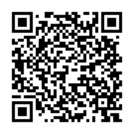 QR code for plate 8TG 596