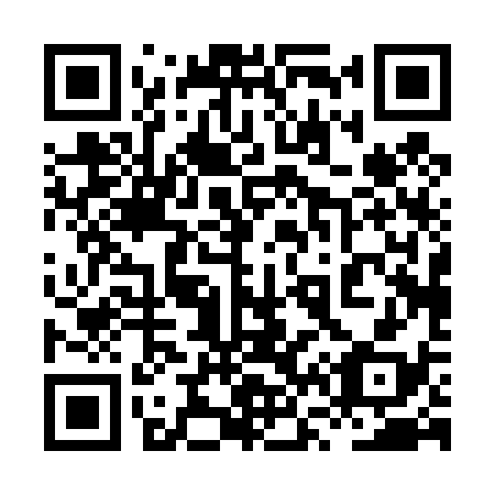QR code for 8V 0438