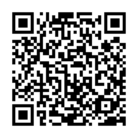 QR code for 8V 2528