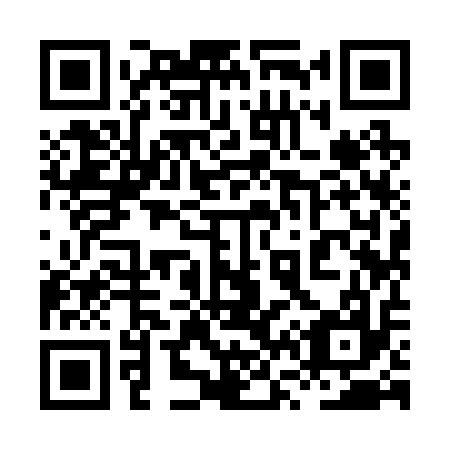 QR code for plate 8V 9217