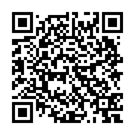 QR code for plate 8X 9631