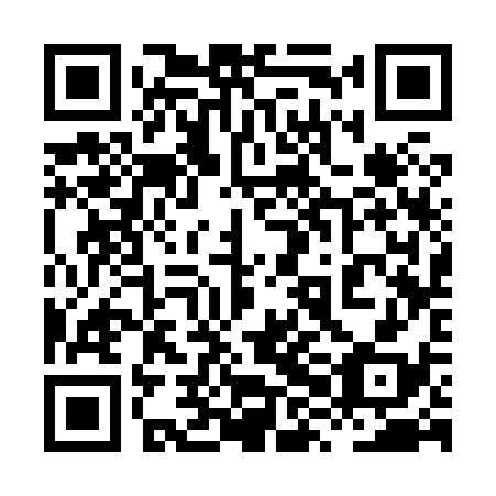 QR code for 8XC838