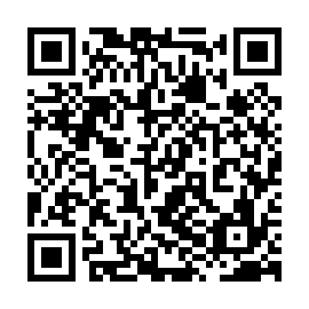 QR code for plate 8XG 036