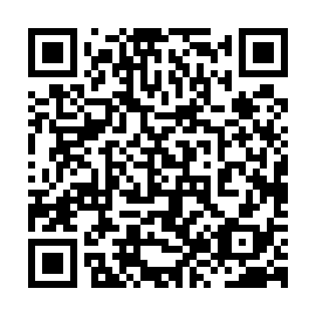 QR code for plate 8Z 0538