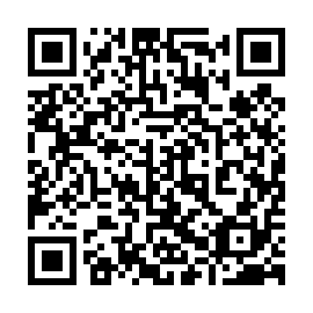 QR code for plate 90Q 410